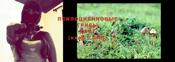 mdpv Няндома