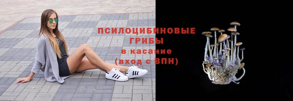 mdpv Няндома