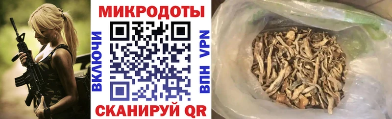 Галлюциногенные грибы мицелий  закладки  Белоярский 